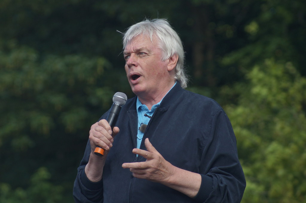 David Icke in a 2013 photograph.
