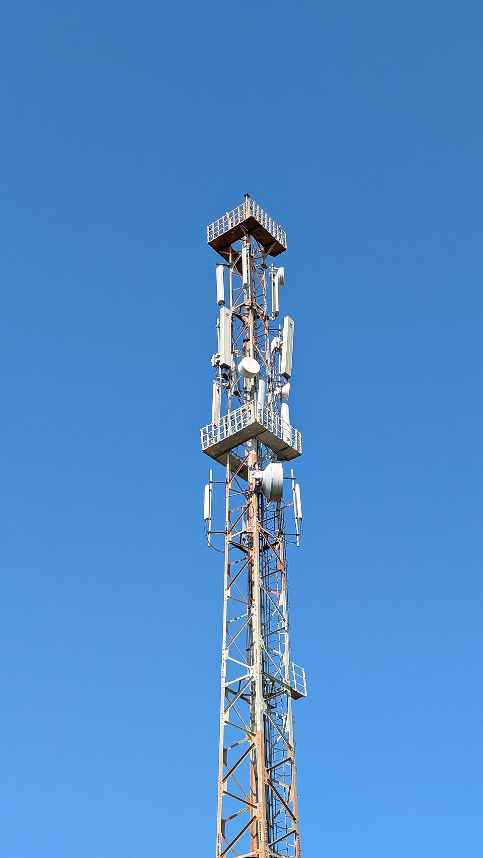 BSNL 4G telecommunications tower in Rajasthan in a file photograph