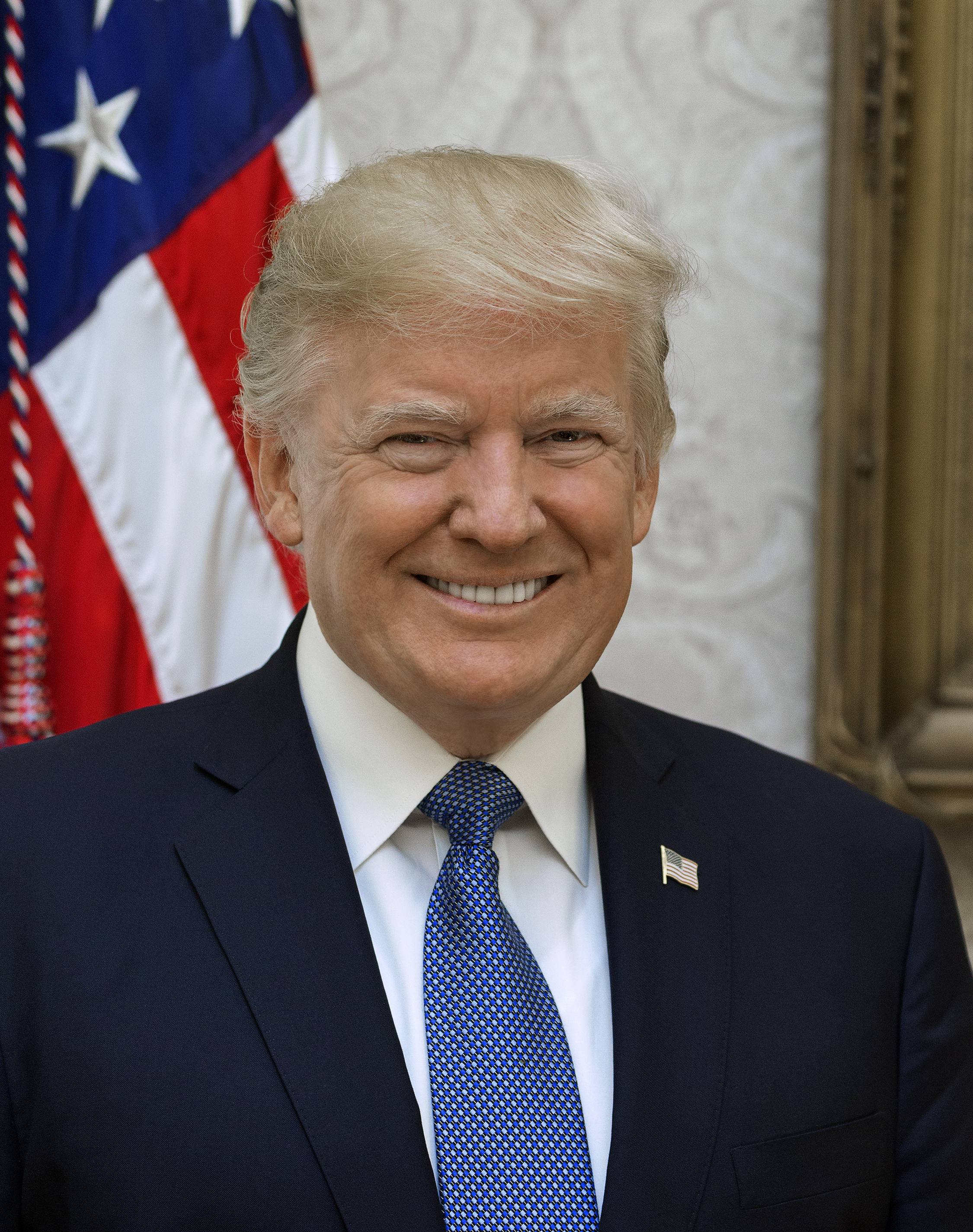 Donald Trump in a 2017 official file portrait