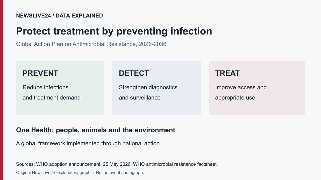 Prevent infections, strengthen detection, and improve access and appropriate treatment under the 2026-2036 antimicrobial-resistance plan.